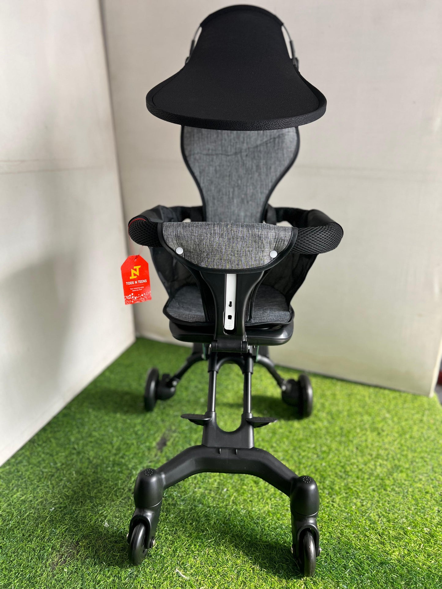 ST01-Smart Buggy Stroller